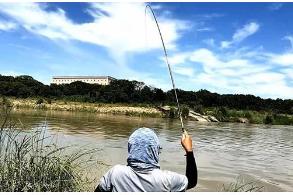 夏天钓鱼用腥味还是香味饵料，首选香味饵料