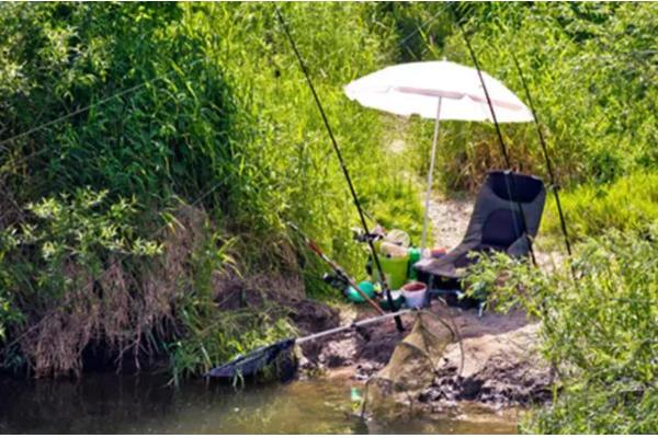 夏天钓鱼用腥味还是香味饵料，首选香味饵料
