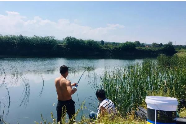 夏天钓鱼用腥味还是香味饵料，首选香味饵料