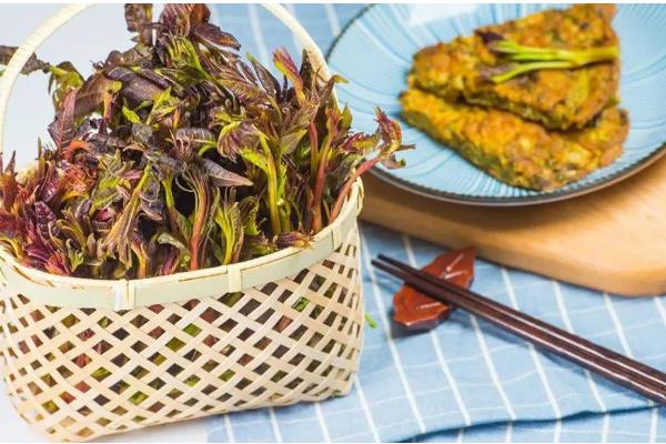 春分的风俗,有立蛋、祭祖、吃春菜等