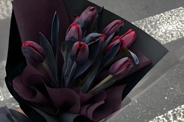 郁金香代表的含义,不同颜色具有不同的寓意