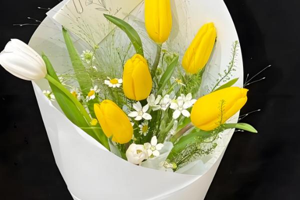 郁金香代表的含义,不同颜色具有不同的寓意