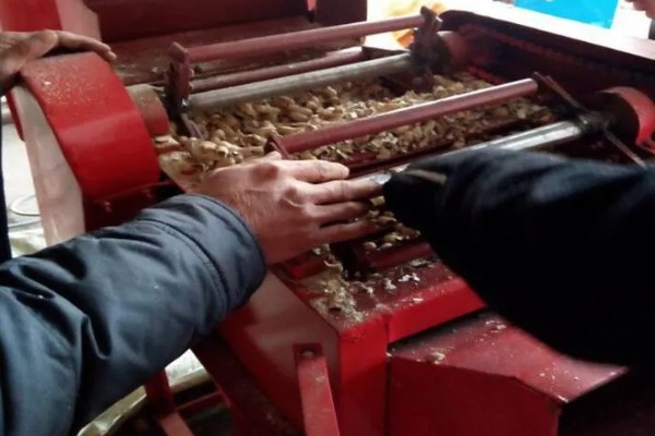 花生脱皮机的工作原理，通过差速滚动摩擦传动去皮