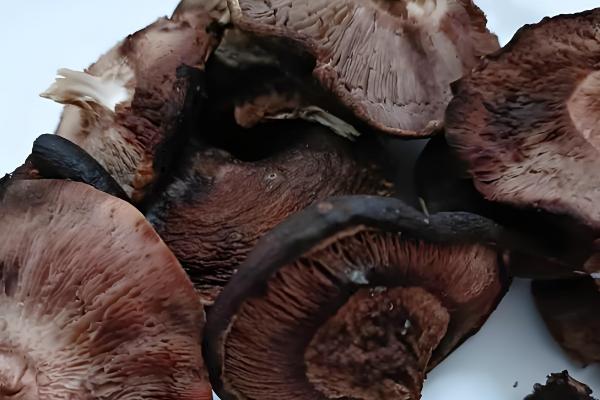 香菇放久变黑了还能吃吗，不宜食用