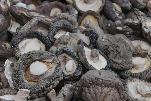 香菇放久变黑了还能吃吗，不宜食用