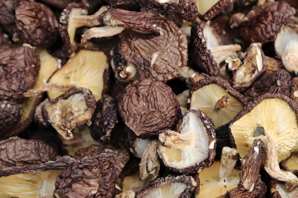 香菇放久变黑了还能吃吗，不宜食用