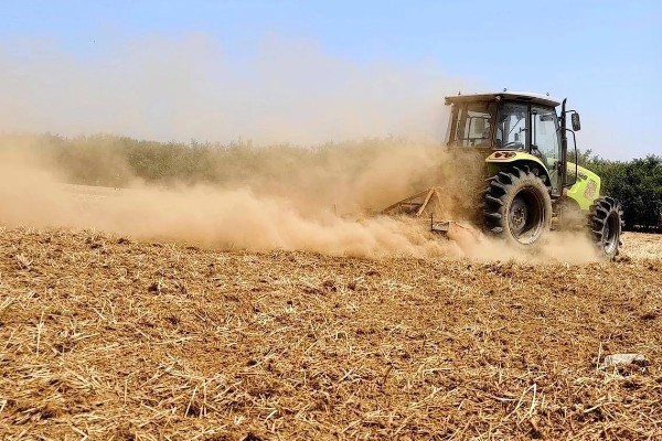 玉米高产种植技术，播种前要拌种