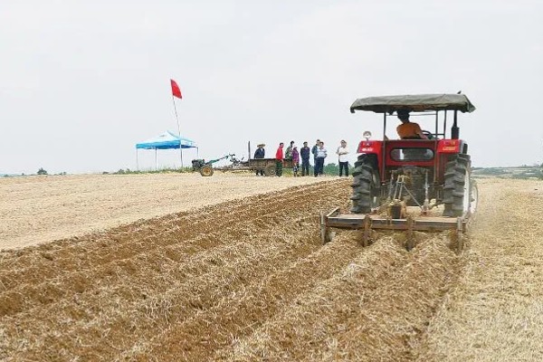 玉米高产种植技术，播种前要拌种