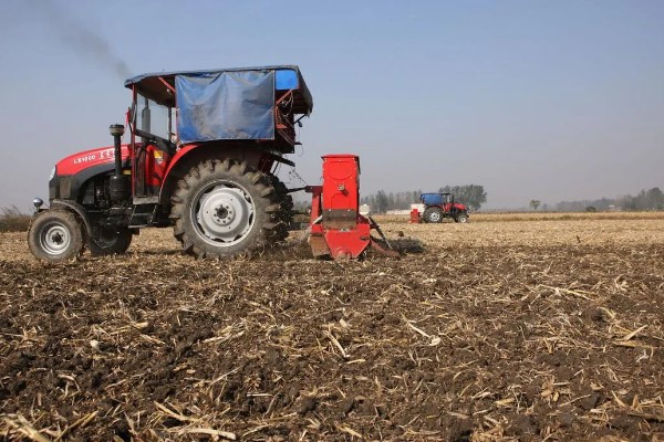 玉米高产种植技术，播种前要拌种