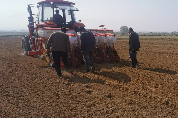 玉米高产种植技术，播种前要拌种