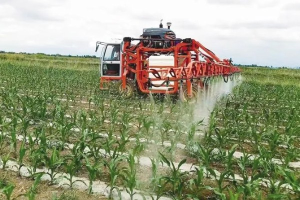 玉米高产种植技术，播种前要拌种