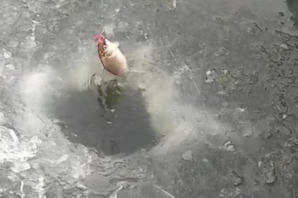 冰钓用什么鱼线好，用尼龙线比较好