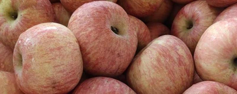 苹果的等级怎么划分，通常分为优等品、一等品、二等品