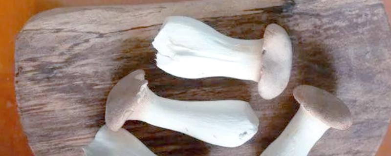 杏鲍菇长白毛如何处理，清洗时清理干净白毛即可