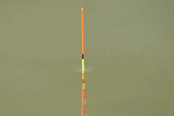 顿口漂的简介，是近年兴起的新型浮漂