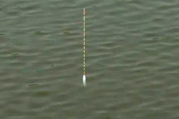 顿口漂的简介，是近年兴起的新型浮漂