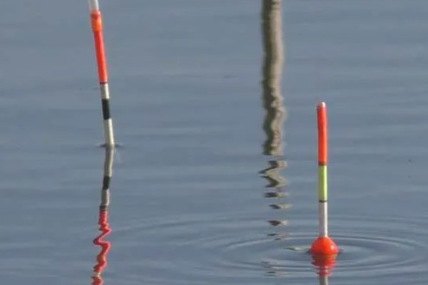 顿口漂的简介，是近年兴起的新型浮漂