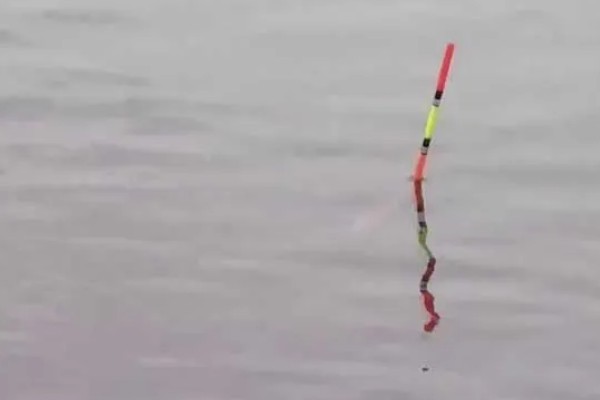 顿口漂的简介，是近年兴起的新型浮漂