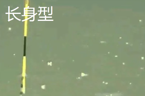 顿口漂的简介，是近年兴起的新型浮漂