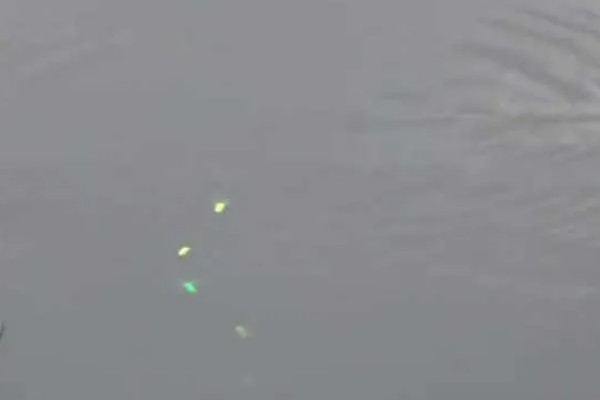 顿口漂的简介，是近年兴起的新型浮漂