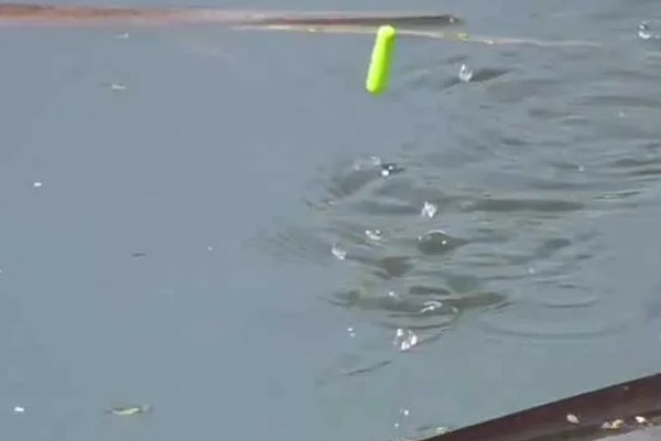 顿口漂的简介，是近年兴起的新型浮漂