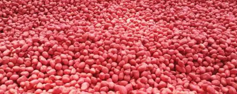 用农药处理种子的方法，根据种子类型使用不同的药物拌种