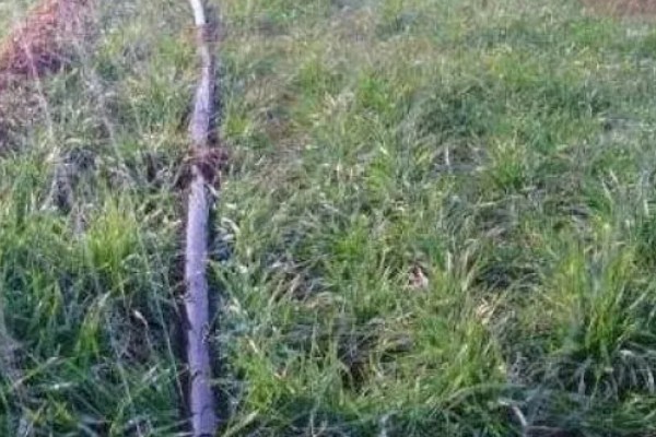 小麦为什么要冬灌，可缓和地温变化避免冻害死苗