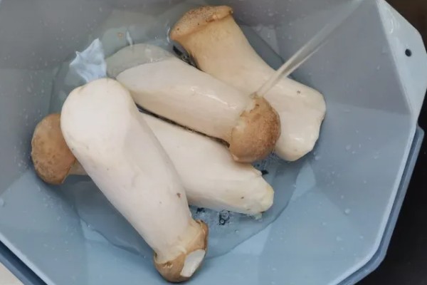 杏鲍菇长白毛如何处理，清洗时清理干净白毛即可
