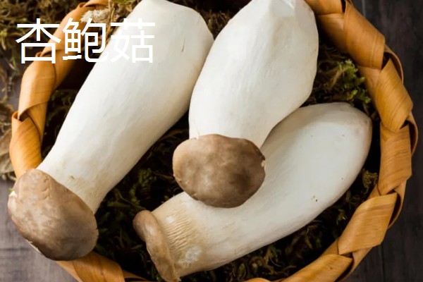 杏鲍菇长白毛如何处理，清洗时清理干净白毛即可