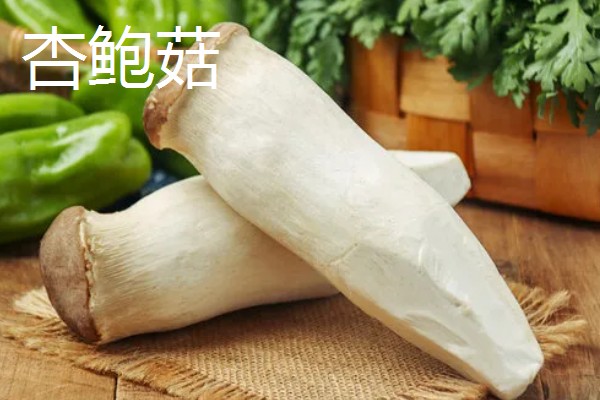 杏鲍菇长白毛如何处理，清洗时清理干净白毛即可