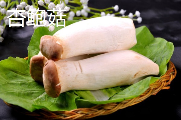 杏鲍菇长白毛如何处理，清洗时清理干净白毛即可