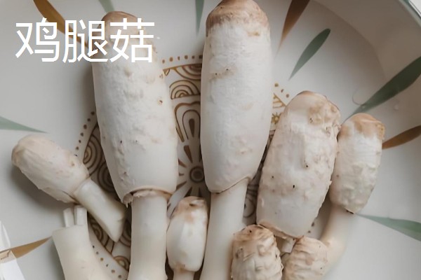 杏鲍菇长白毛如何处理，清洗时清理干净白毛即可