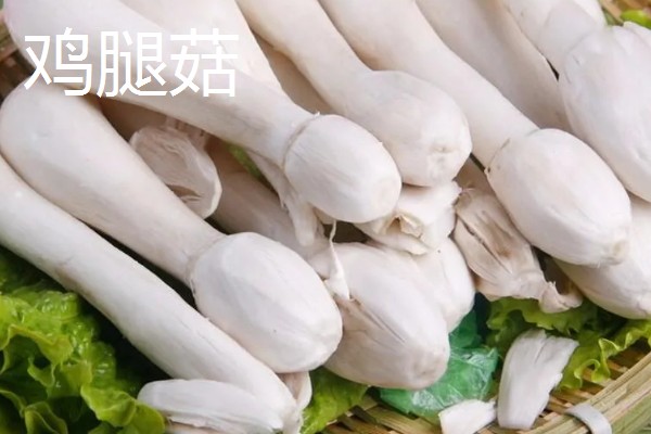 杏鲍菇长白毛如何处理，清洗时清理干净白毛即可