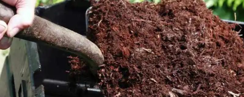 人粪尿属于哪种肥料，是一种富含养分的有机肥