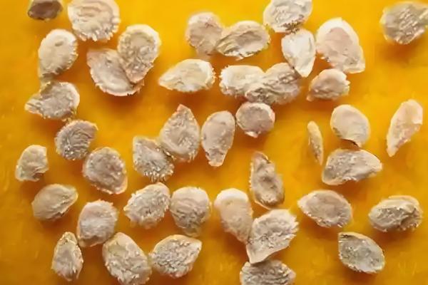 种植西红柿的方法,行株距为50×30厘米