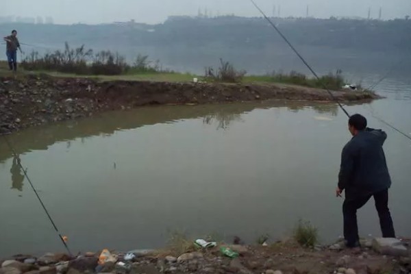 红眼鲮鱼能不能钓，下风向、入水口适合作钓