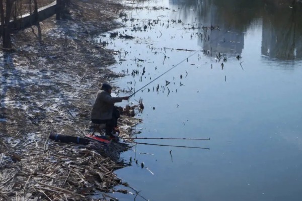 红眼鲮鱼能不能钓，下风向、入水口适合作钓