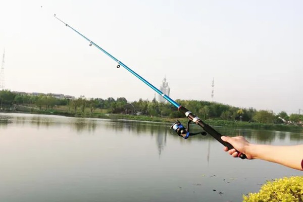 红眼鲮鱼能不能钓，下风向、入水口适合作钓