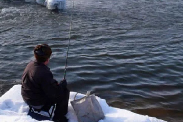 红眼鲮鱼能不能钓，下风向、入水口适合作钓