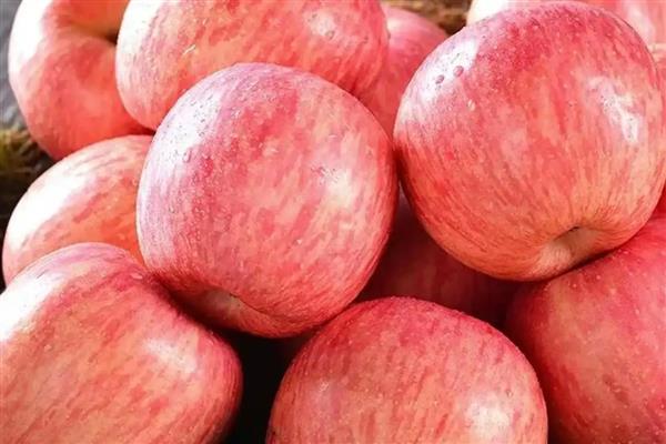 苹果的等级怎么划分,通常分为优等品、一等品、二等品