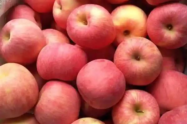 苹果的等级怎么划分,通常分为优等品、一等品、二等品