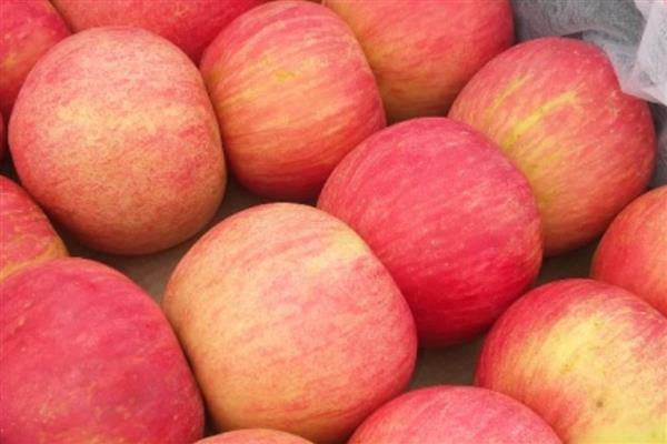 苹果的等级怎么划分,通常分为优等品、一等品、二等品