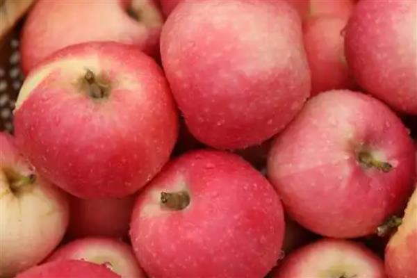 苹果的等级怎么划分,通常分为优等品、一等品、二等品
