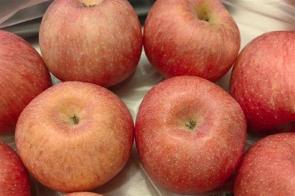 苹果的等级怎么划分,通常分为优等品、一等品、二等品