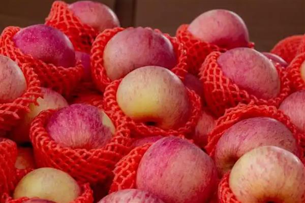 苹果的等级怎么划分,通常分为优等品、一等品、二等品