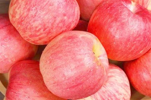 苹果的等级怎么划分,通常分为优等品、一等品、二等品