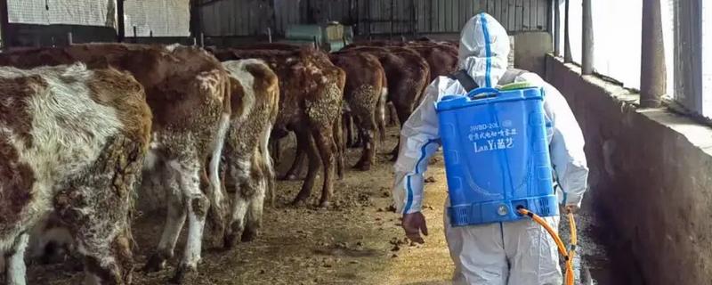 牛舍消毒用哪些消毒液，可以用氢氧化钠