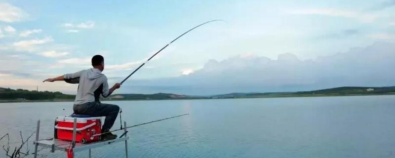 台钓新手怎么入门，在正方形的池塘中钓四个角
