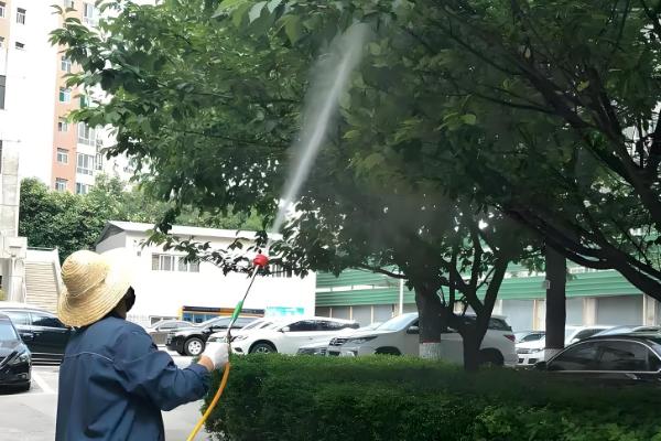 樱花病害症状与防治方法，常见的有穿孔性褐斑病、叶枯病等