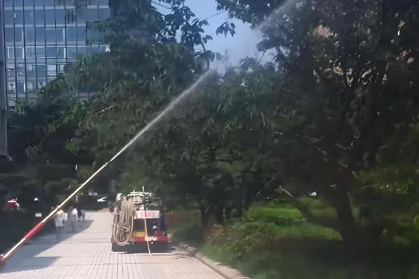 樱花病害症状与防治方法，常见的有穿孔性褐斑病、叶枯病等